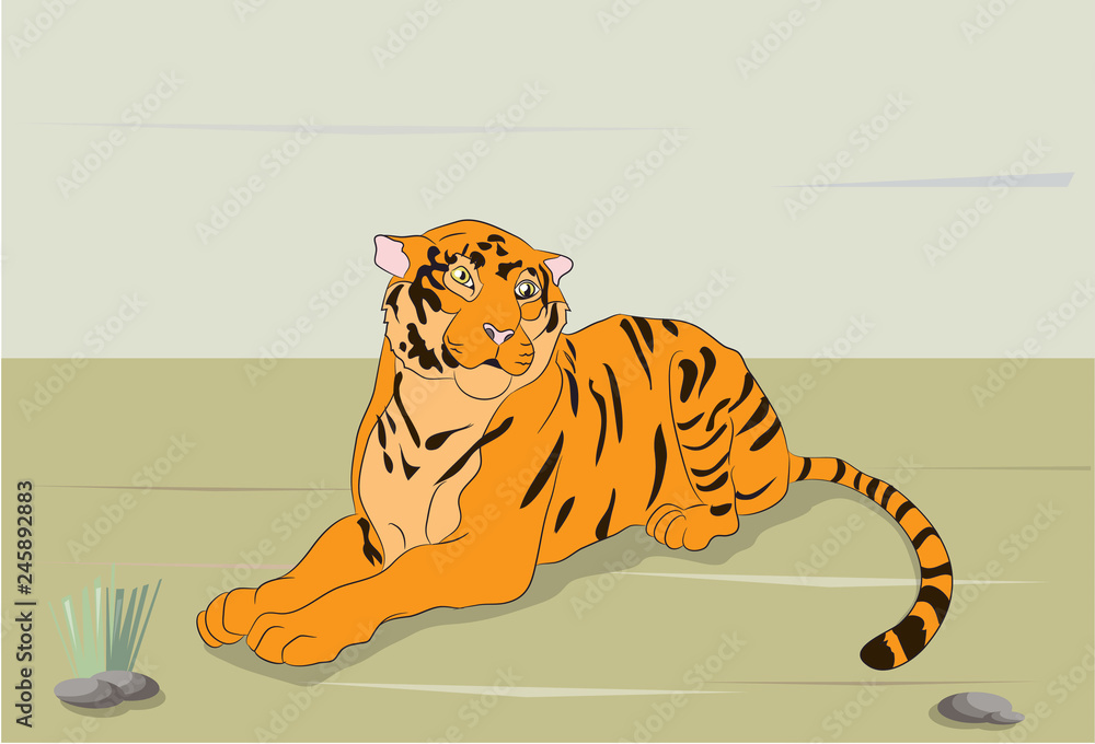 vector illustration of a tiger that is on nature