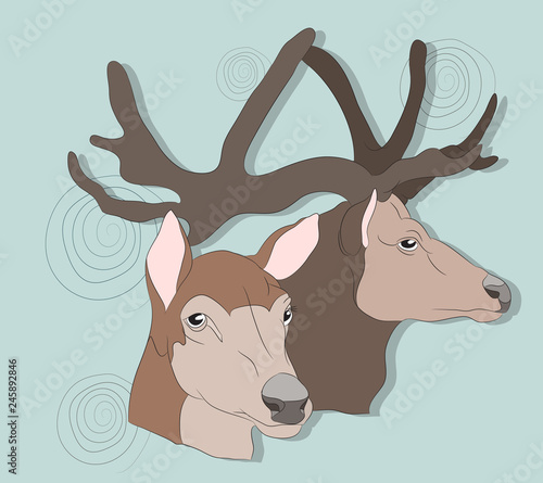 portrait of a deer on a colored background