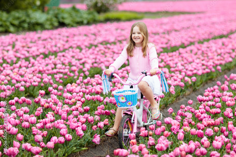 Child on bike in tulip field. Bicycle in Holland.