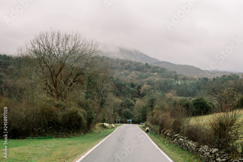 Countryside road near mountain photo