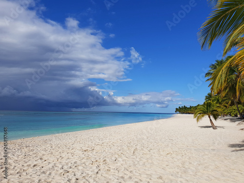Fototapeta Naklejka Na Ścianę i Meble -  saona island paradise white sand beach with tropical nature with stormy clouds