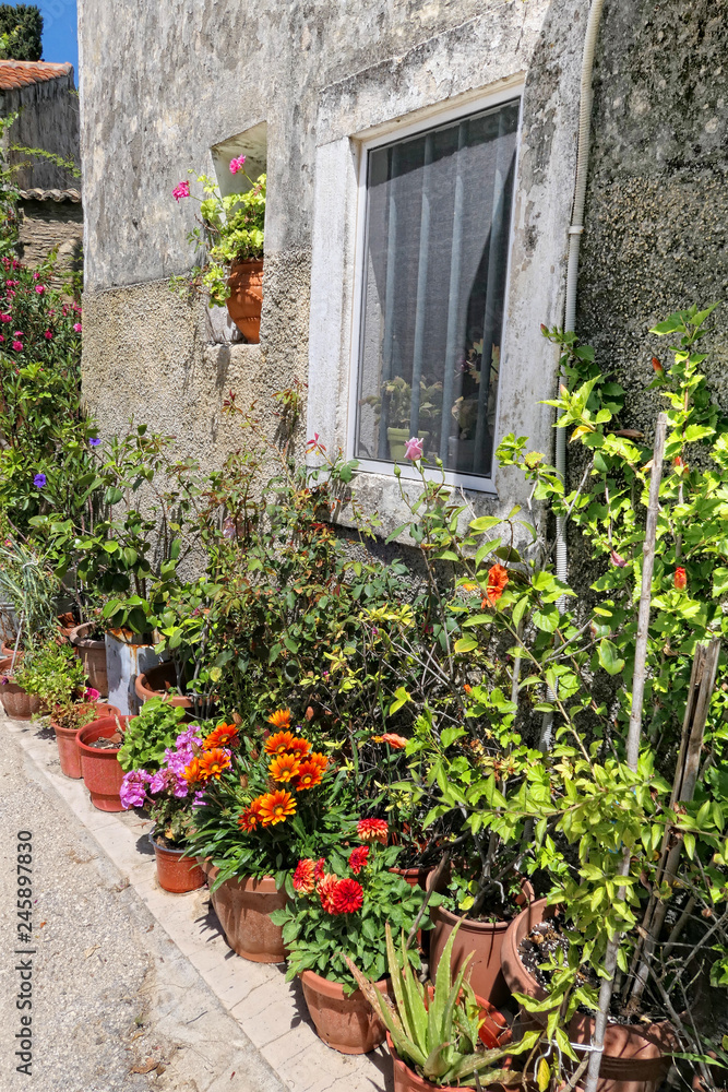 flowerpots in front of a greek house
