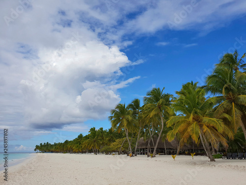 tropical jungle with white sand beach and turquoise carribean sea at saona island dominican republic