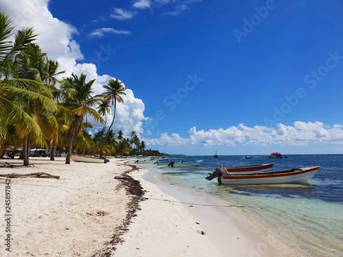 tropical panorama view in saona island with palms and many boats in the caribbean sea, touristic boats waiting, tropical paradise island view in dominican republic