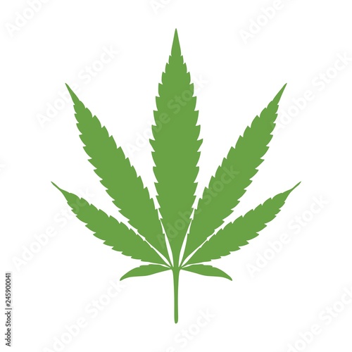 Marijuana leaf icon  Cannabis leaf icon or logo