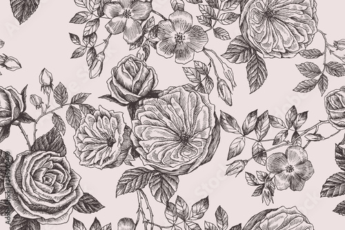 Wild roses blossom branch seamless pattern. Vintage botanical hand drawn illustration. Spring flowers of garden rose, dog rose. Vector design. Can use for greeting cards, wedding invitations, patterns