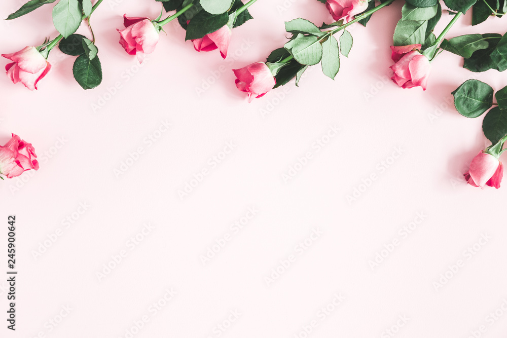 Fototapeta premium Kompozycja kwiatów. Różowa róża kwiaty na pastelowym różowym tle. Walentynki, dzień matki, koncepcja dzień kobiet. Leżał płasko, widok z góry, miejsce na kopię