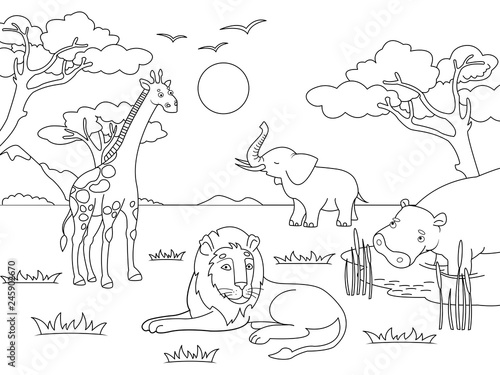 Children drawing. Animals of Africa, mainland mammals, zoo. Vector Coloring, black and white coloring.