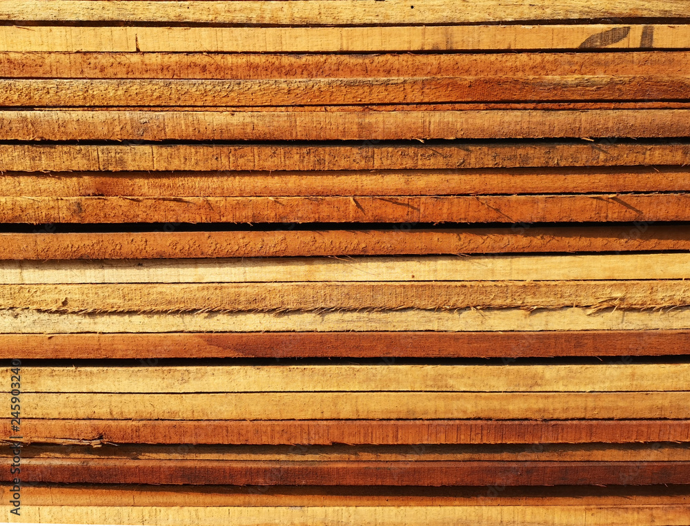 Wood stack Stacked together cross section Nature cut into pieces for decorating work or Structure Wood stack Stacked together cross section Nature cut into pieces for decorating work or Structure