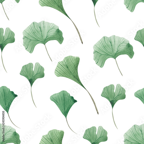 Seamless pattern with watercolorand graphic eucalyptus and ginkgo leaf ona white background