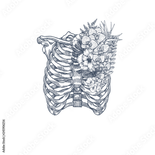 Wild flower vintage rib cage illustration. Floral anatomy. Vector illustration