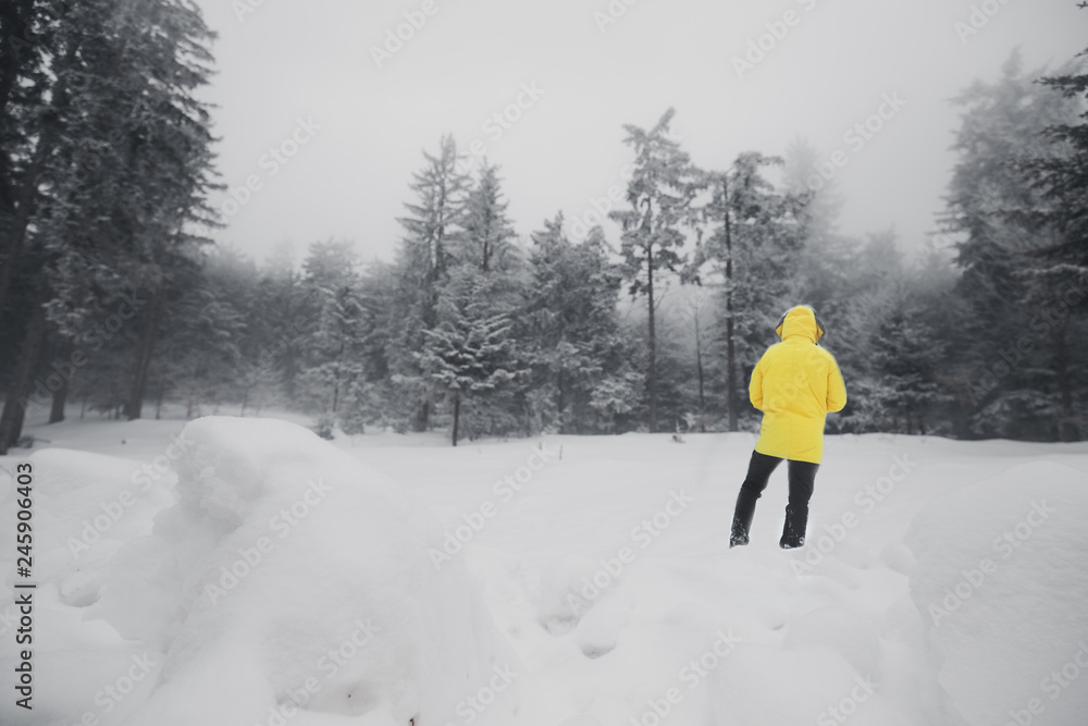 Back view closeup of Person wearing yellow jacket , walking in beautiful winter forest