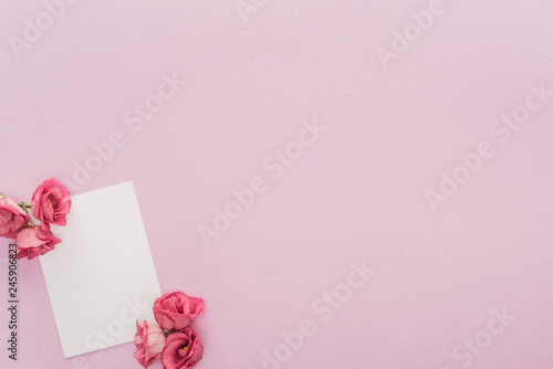 top view of flowers and blank card isolated on pink with copy space