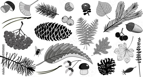 Set isolated elements forest