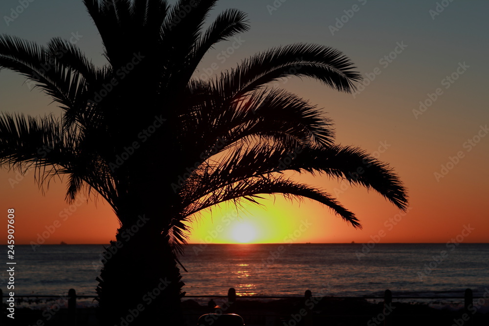 Sonnenuntergang am Meer in Kapstadt mit Palmen