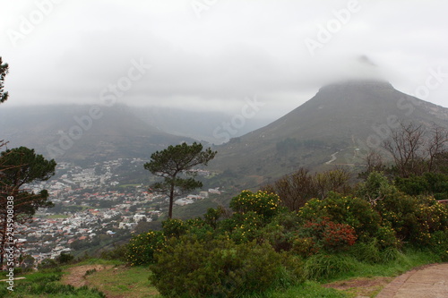 S  dafrika Weinberge im Nebel