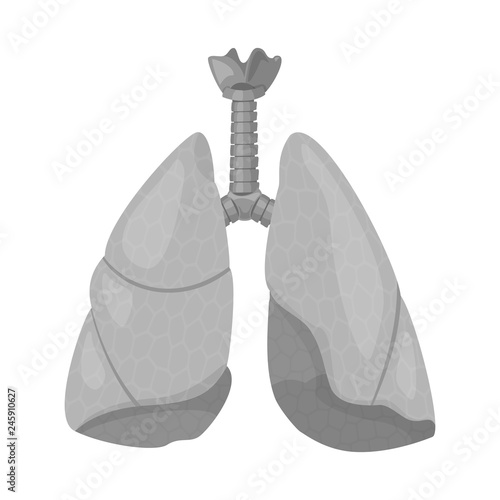 Vector illustration of body and human sign. Set of body and medical stock symbol for web.