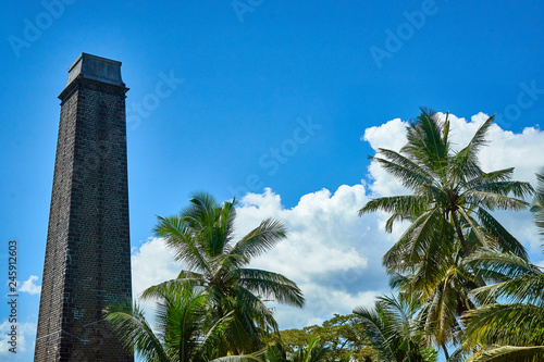 Coconut plam trees along side a sugar cane an old french style plantation furnice chimney on the island of Mauritius.