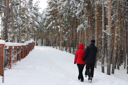 couple walking in park in winter
