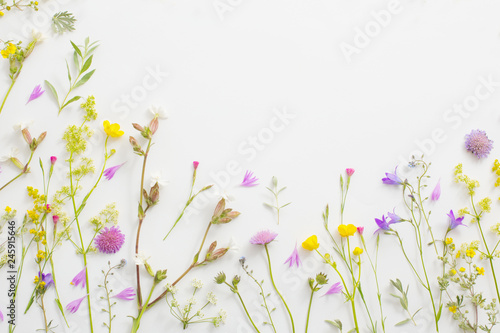 summer flowers on white paper background