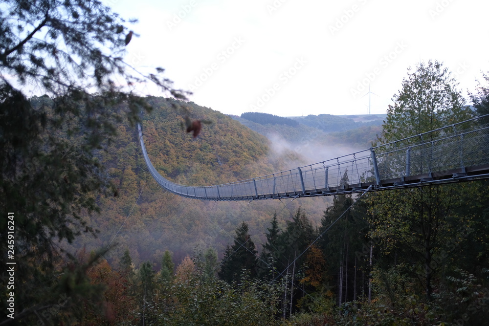Fototapeta premium Hängebrücke Geierlay