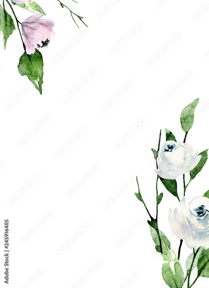 Plakat Watercolor roses, floral background frame, white flowers hand painting. Illustration for wedding invitation, greeting card, flyer, poster, banner design. Isolated on white background.