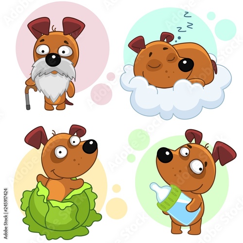 Set of icons with dogs for design and children, the dog sleeps on a cloud, was born in cabbage, holds a bottle of milk, an old dog, gray and with a beard and mustache.