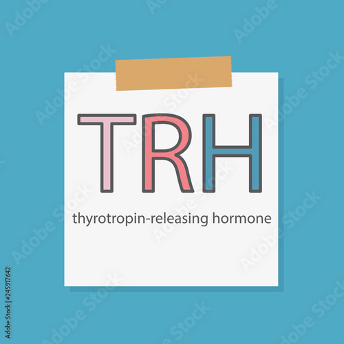 TRH Thyrotropin-releasing hormone written on a notebook paper- vector illustration photo
