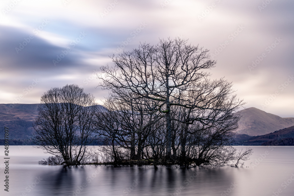 Island of Trees Island of Trees