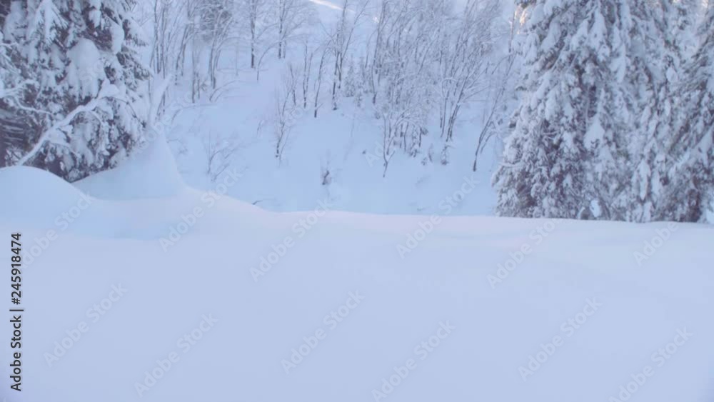 Dolly shot skitour in Siberia. A man riding down the hill in a snowy forest, rear view. Dolly shot skitour in Siberia. A man riding down the hill in a snowy forest, rear view.