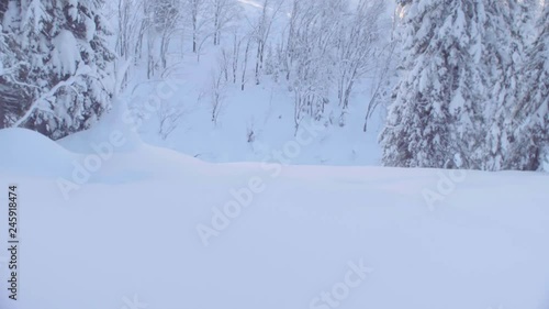 Wallpaper Mural Dolly shot skitour in Siberia. A man riding down the hill in a snowy forest, rear view. Torontodigital.ca