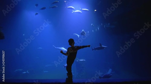 Wallpaper Mural little boy explores the beauty of the sea and its inhabitants behind the glass of a huge oceanarium Torontodigital.ca
