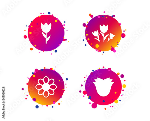 Flowers icons. Bouquet of roses symbol. Flower with petals and leaves. Gradient circle buttons with icons. Random dots design. Vector