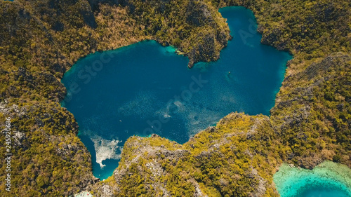 Aerial view mountain Barracuda lake, on tropical island, Lagoon with blue, azure water. Lake in the mountains covered with tropical forest on the island Coron, Palawan, Philippines.