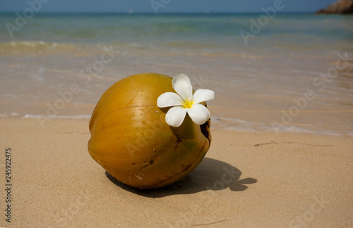 Young coconut ont the tropical beach photo