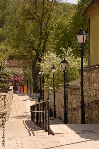 Romania, Bistrita, 2016, pink Blooming trees and lighting poles