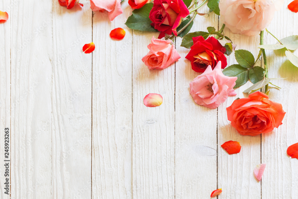 roses on white wooden background