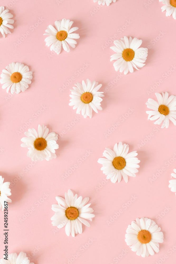 Pattern made of white chamomile flowers Pattern made of white chamomile flowers
