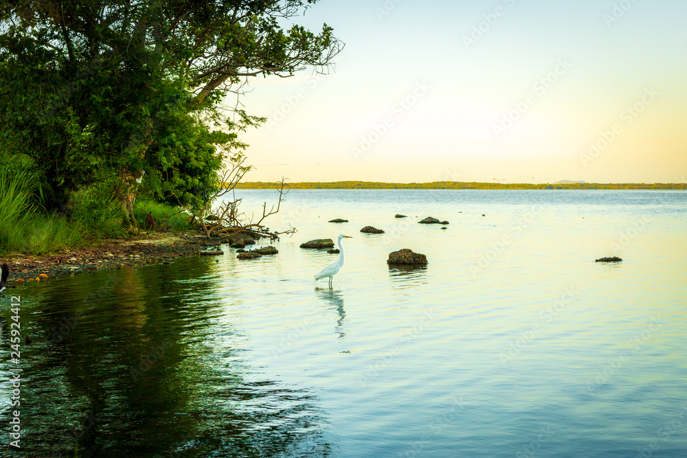 Naklejka premium Lagoa de Araçatiba - Maricá