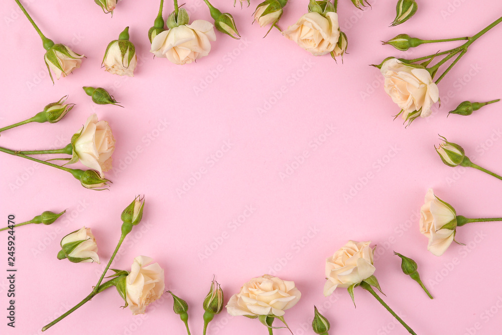 Frame of beige beautiful mini roses on a bright pink background. holidays. place for text. top view Frame of beige beautiful mini roses on a bright pink background. holidays. place for text. top view