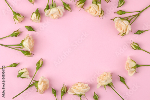 Frame of beige beautiful mini roses on a bright pink background. holidays. place for text. top view
