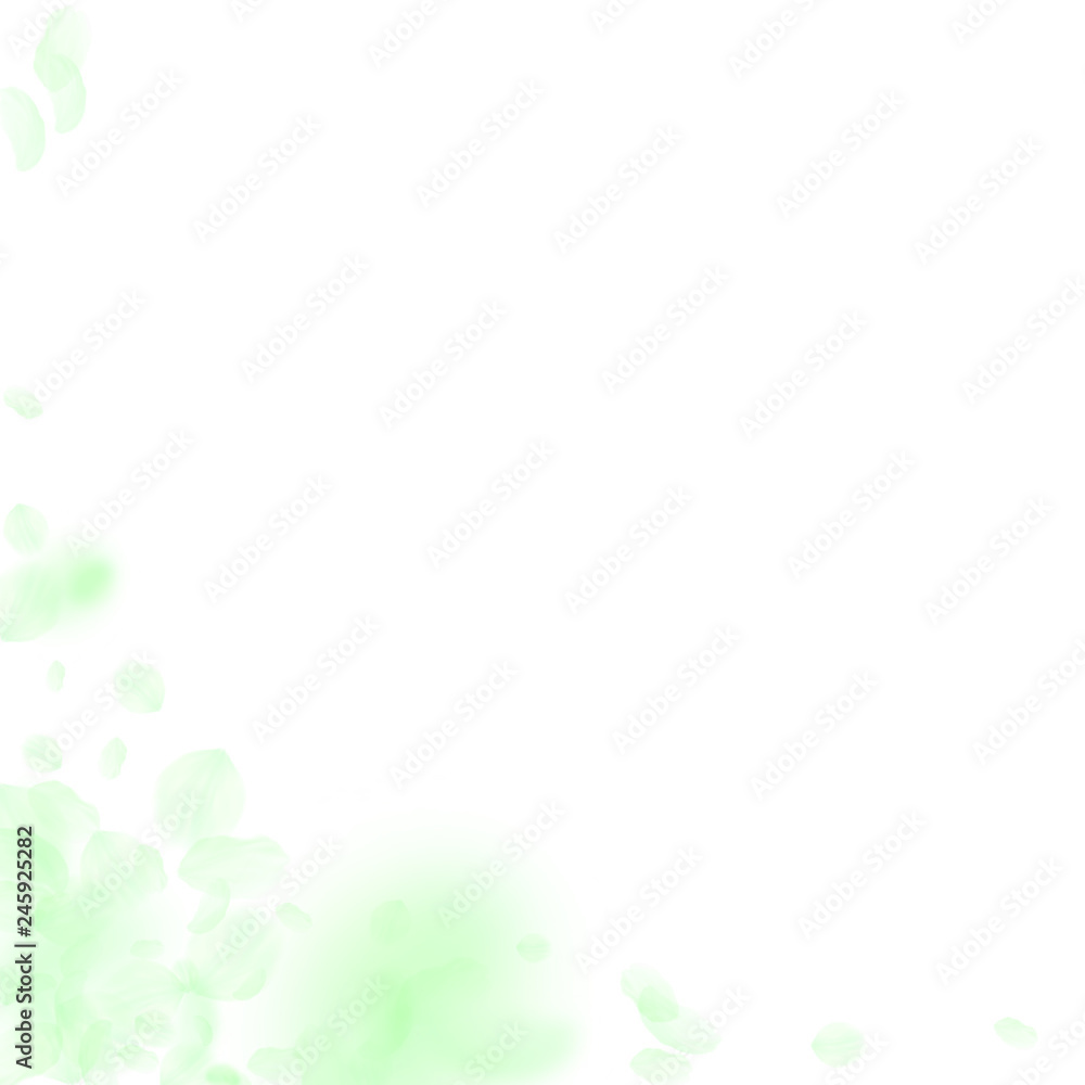 Green flower petals falling down. Elegant romantic Green flower petals falling down. Elegant romantic