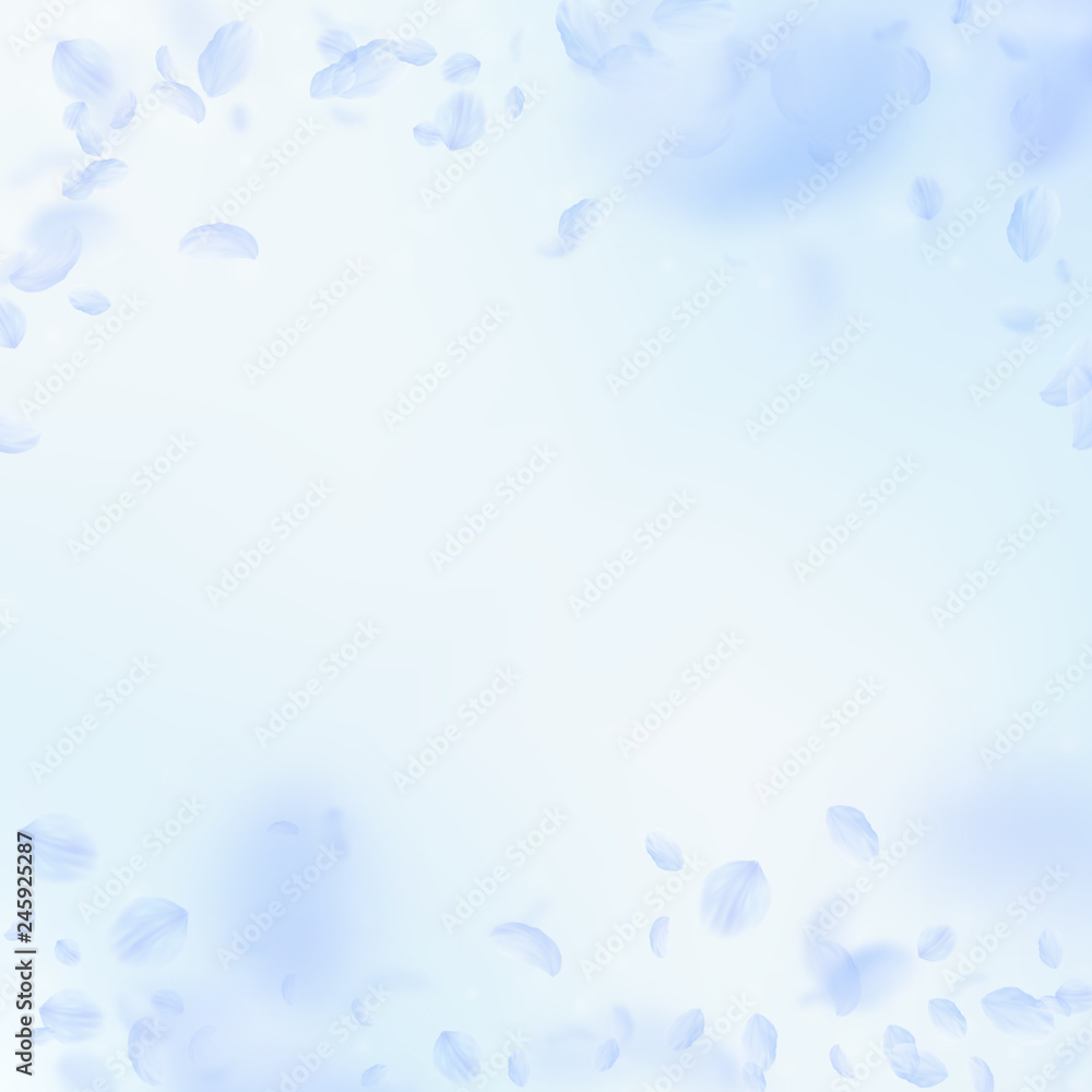 Light blue flower petals falling down. Likable rom Light blue flower petals falling down. Likable rom