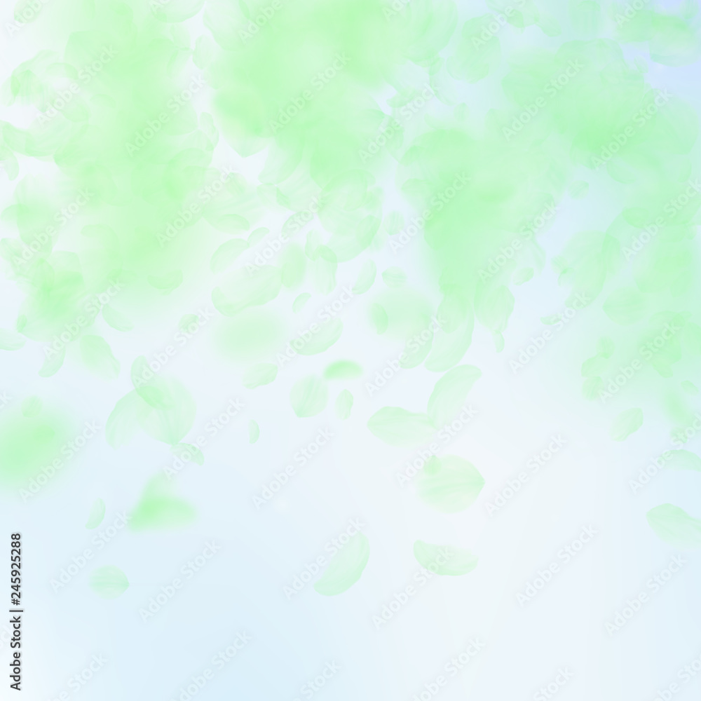 Green flower petals falling down. Beauteous romant Green flower petals falling down. Beauteous romant