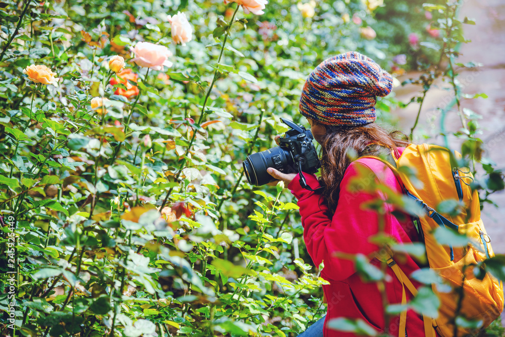 Naklejka premium woman travel nature taking photographs in the rose garden at doi Inthanon Chiangmai in Thailand..