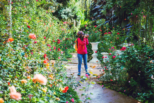 woman travel nature in the rose garden. taking photographs in the rose garden at doi Inthanon Chiangmai. © last19