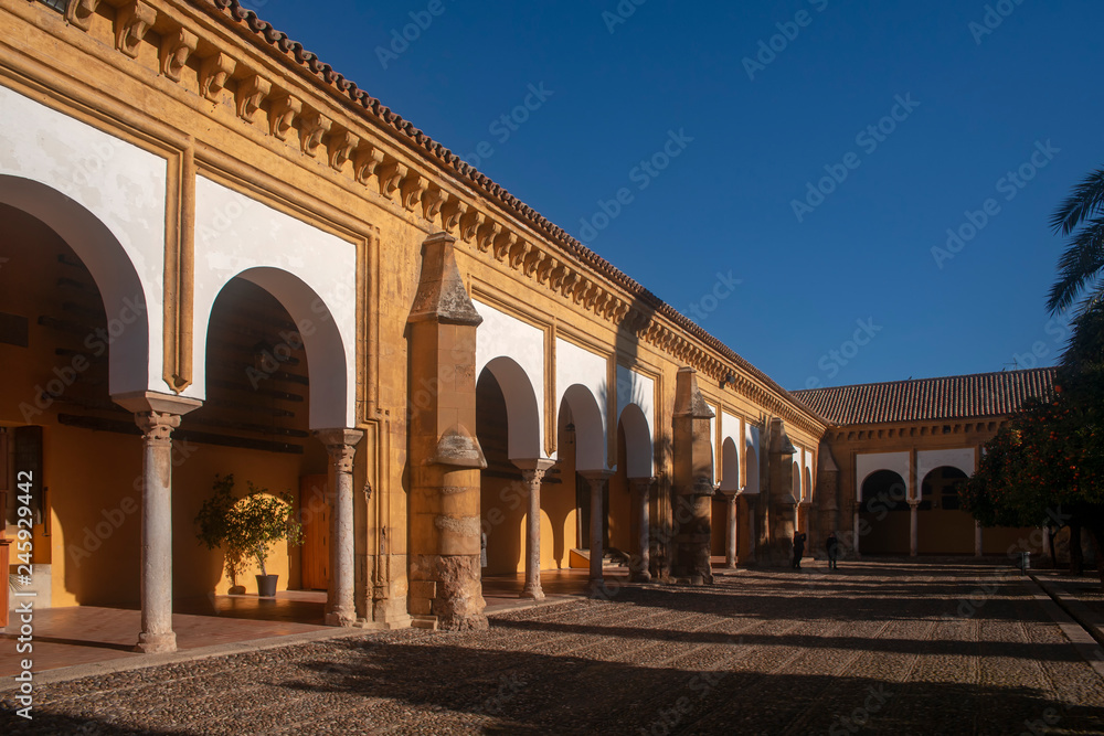 Fototapeta premium Patio de la mezquita catedral de Córdoba, Andalucía