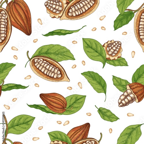 Natural seamless pattern with pods or fruits of cocoa tree, beans or seeds and leaves hand drawn on white background. Botanical vector illustration in vintage style for fabric print, wrapping paper.