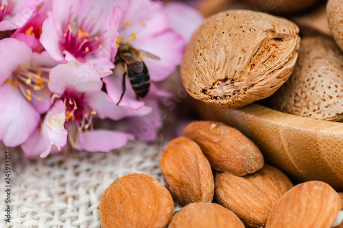Almonds (prunus dulcis) with shell on wooden bowl, and  bee pollinating flowers, on sack surface