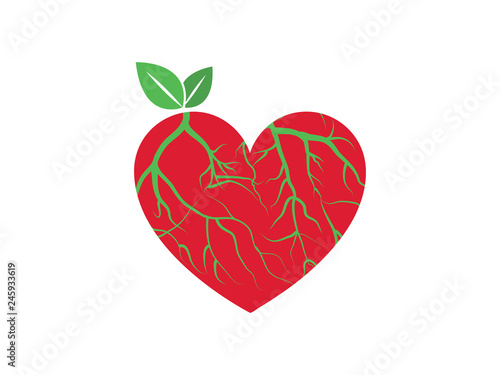 Heart, leaves and roots vector illustration